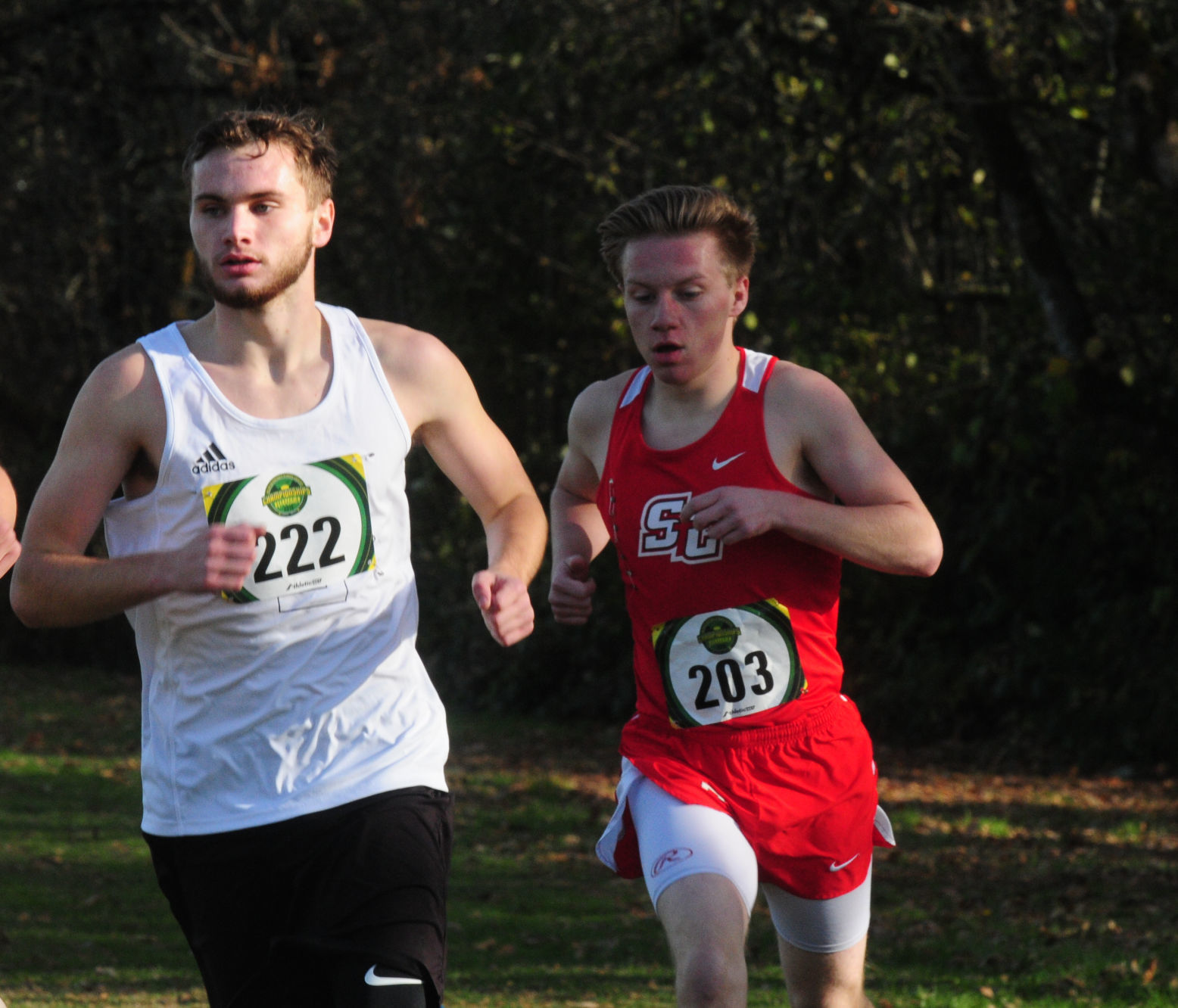 3A/2A/1A District cross country